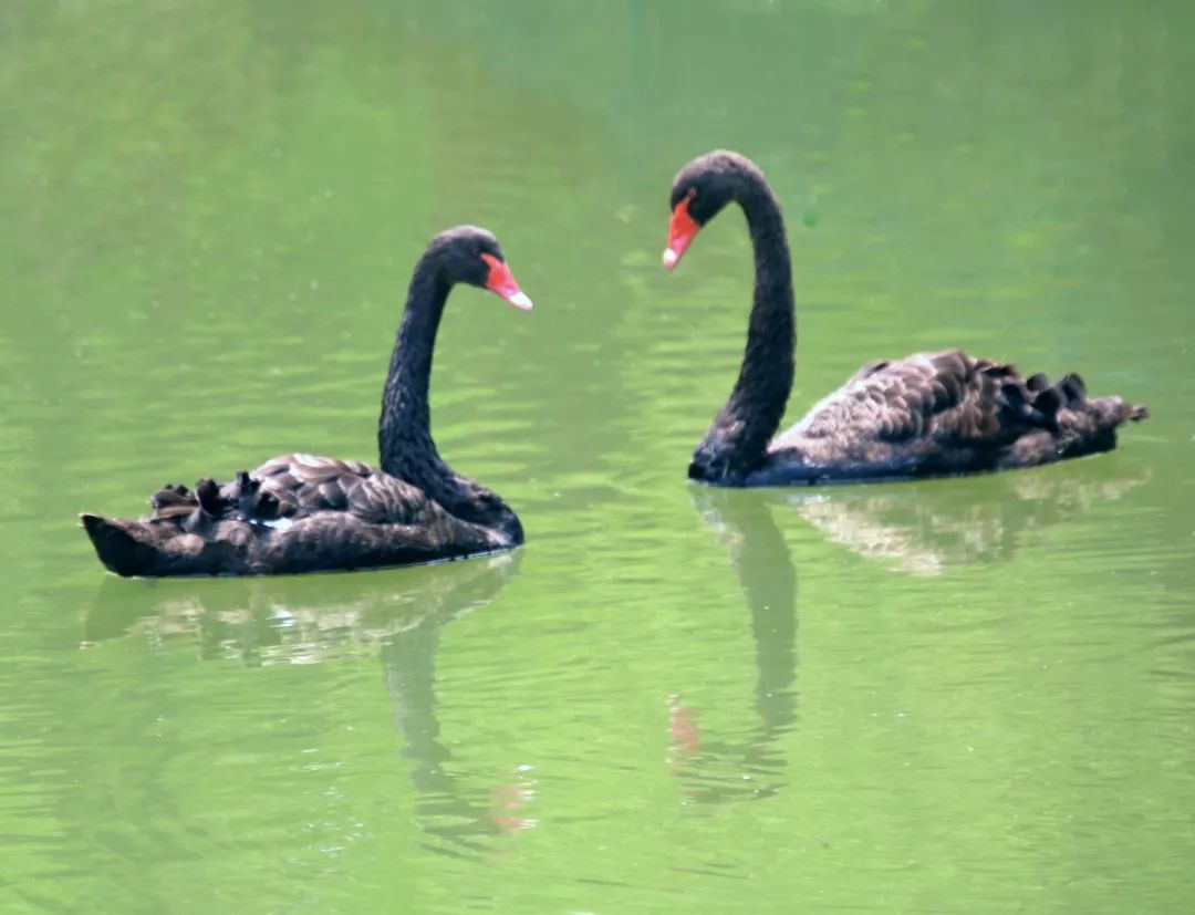 视觉张家港丨一周精选（66）