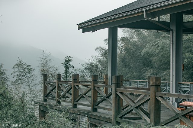 天目湖南山竹海三黑三白,南山竹海加天目湖二日游
