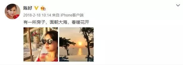 陈好历程,大家还记得当初的万人迷陈好吗