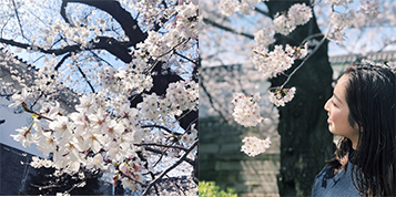 让日本小姐姐颜值赛过樱花miximPOTION到底是什么神仙好物？