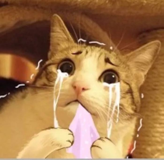 追梦成华|手绘未来!团团周末油画班超有爱~！