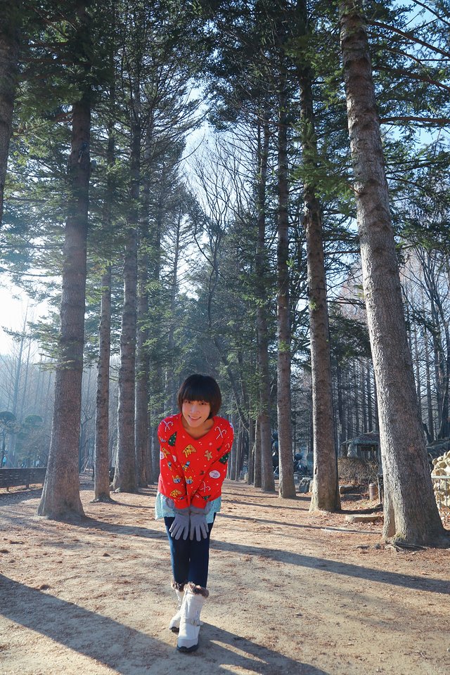 济州冬日的海，首尔春日的花，那些电影里的故事