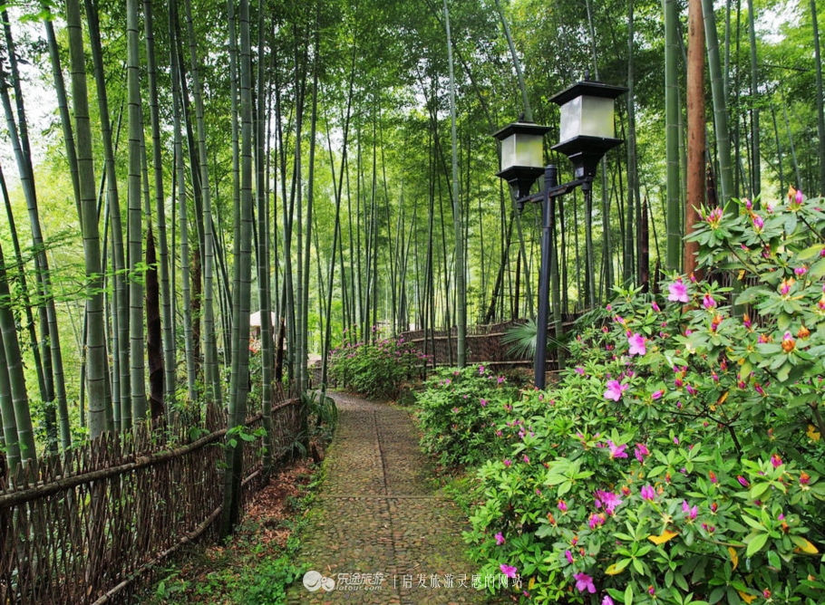 山沟沟里不存在的风景美如画,充满田园风光的美丽小村庄