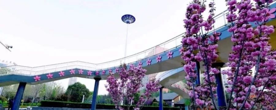 人说好山好水好风光,人说河南好风光