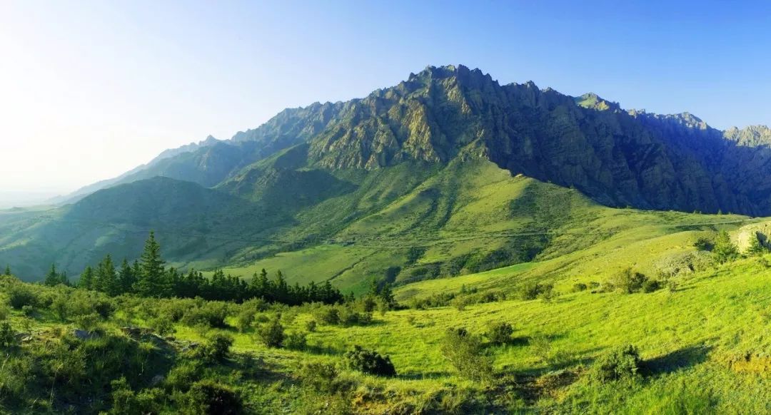 塞上江南的独特风韵,塞上江南大漠风情