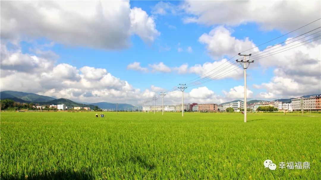 丰收节即将开始,农民丰收节即将开幕