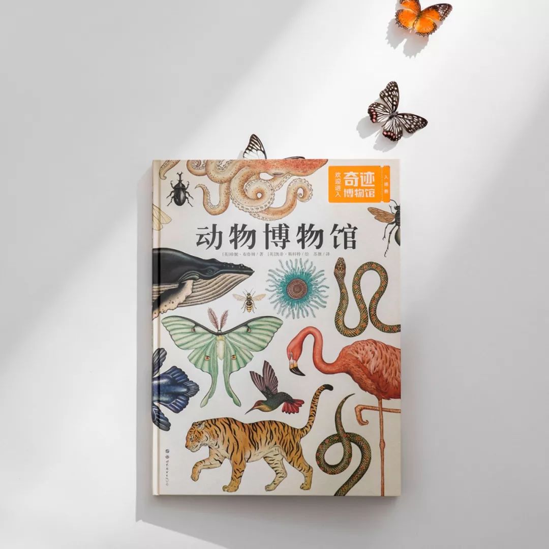 堪称一绝的野生动物画,世界动物画谱