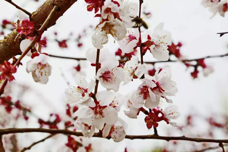 通辽文化旅游季来啦,通辽旅游活动