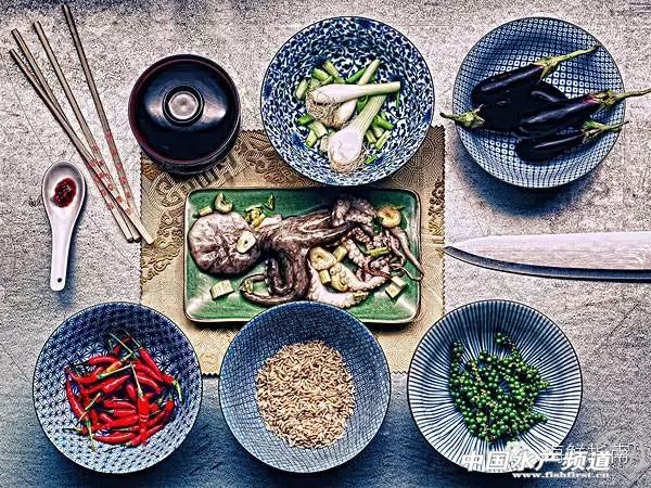 章鱼鱿鱼墨鱼乌贼区别,如何区分章鱼墨鱼鱿鱼