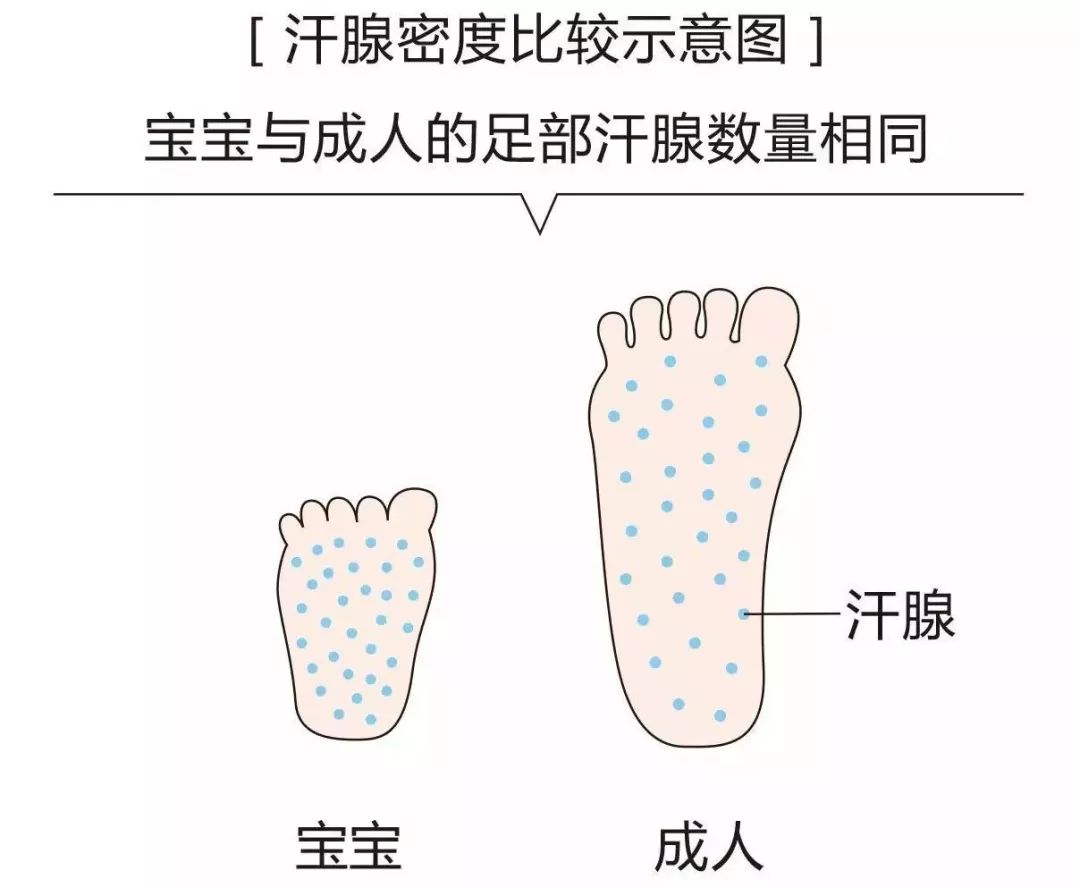 小蓝羊男童凉鞋,软牛皮软底时尚百搭平底凉鞋来了
