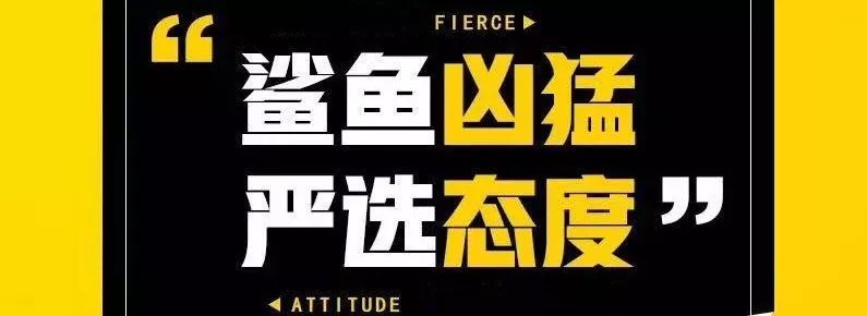 海拉尔omg,omg电商事件