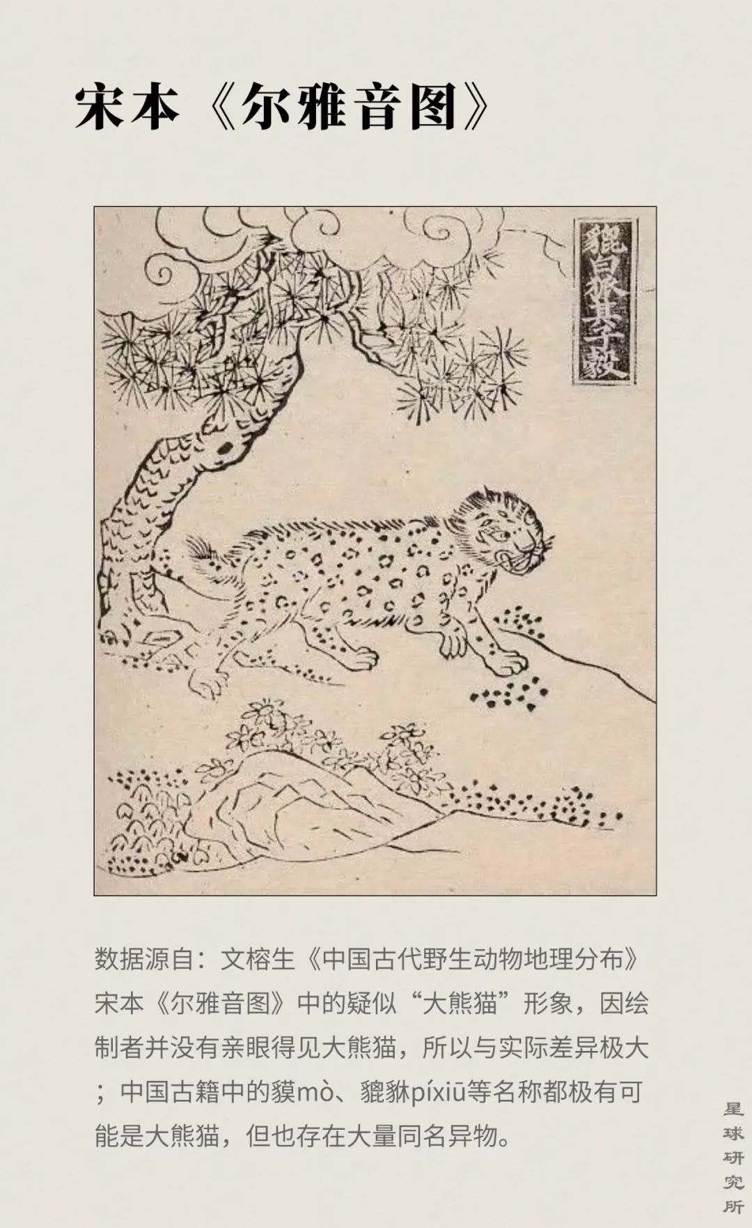 熊猫萌,熊猫萌啦