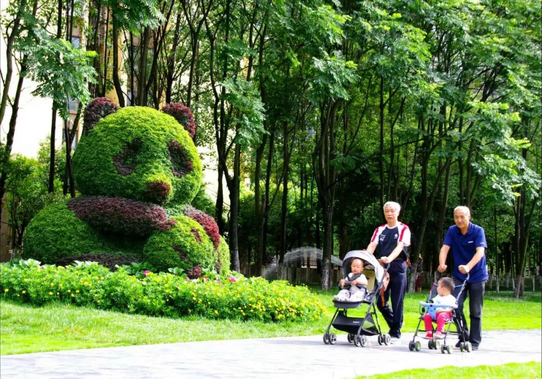 熊猫萌啦,熊猫萌化