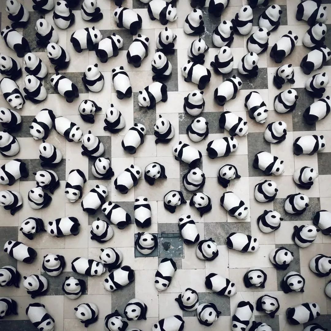 【荐读】熊猫:萌啥子哟,我是要雄起!