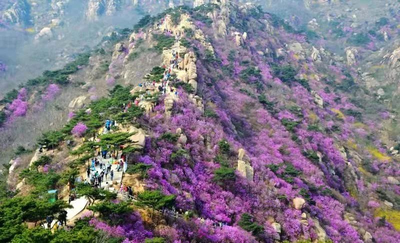 攻略五一青岛,五一出游这份假期健康指南请收好