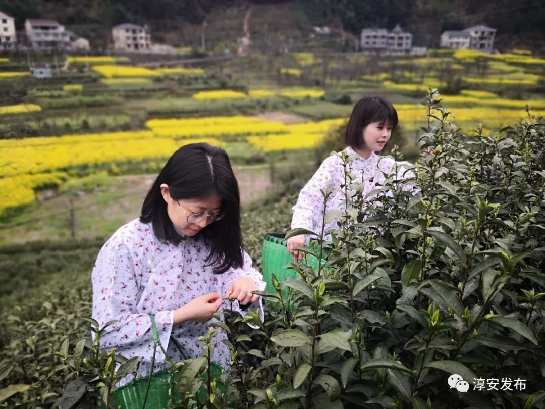 五一去千岛湖要预约吗,五一杭州千岛湖自驾游攻略