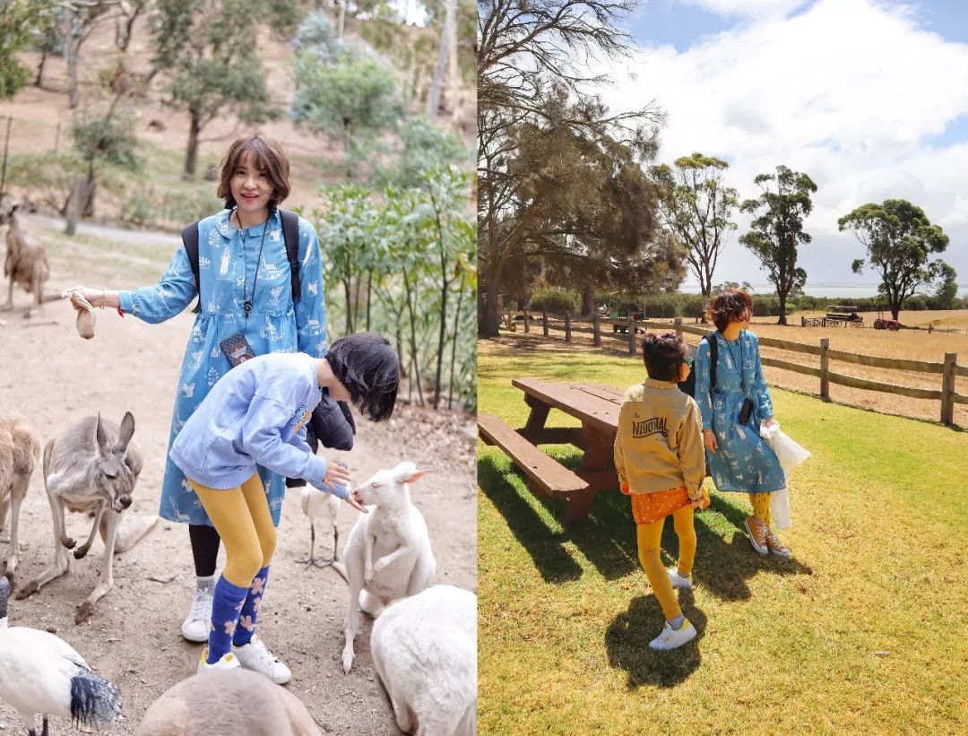 澳洲旅行穿什么好？买什么好？一文解答你的疑惑