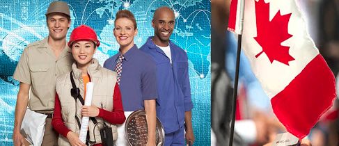 出国那么好？上海5套房的姑娘在加拿大给人洗脚，大学教授切肉博士生扫地