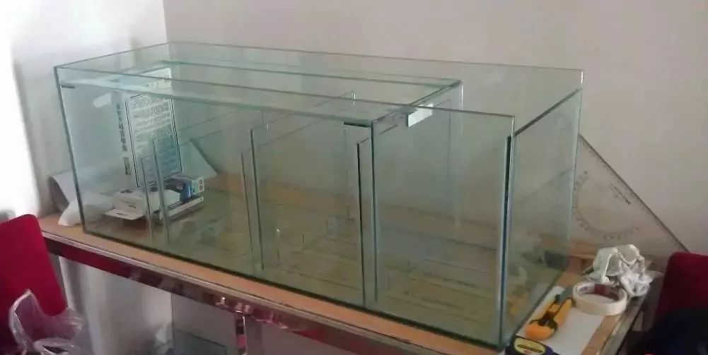 3000块的DIY罗缸，值么？