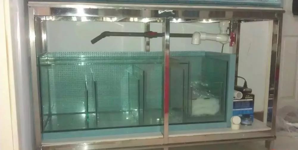 3000块的DIY罗缸，值么？