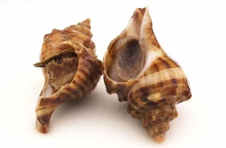 大连最新管控时间,大连最新重要通告