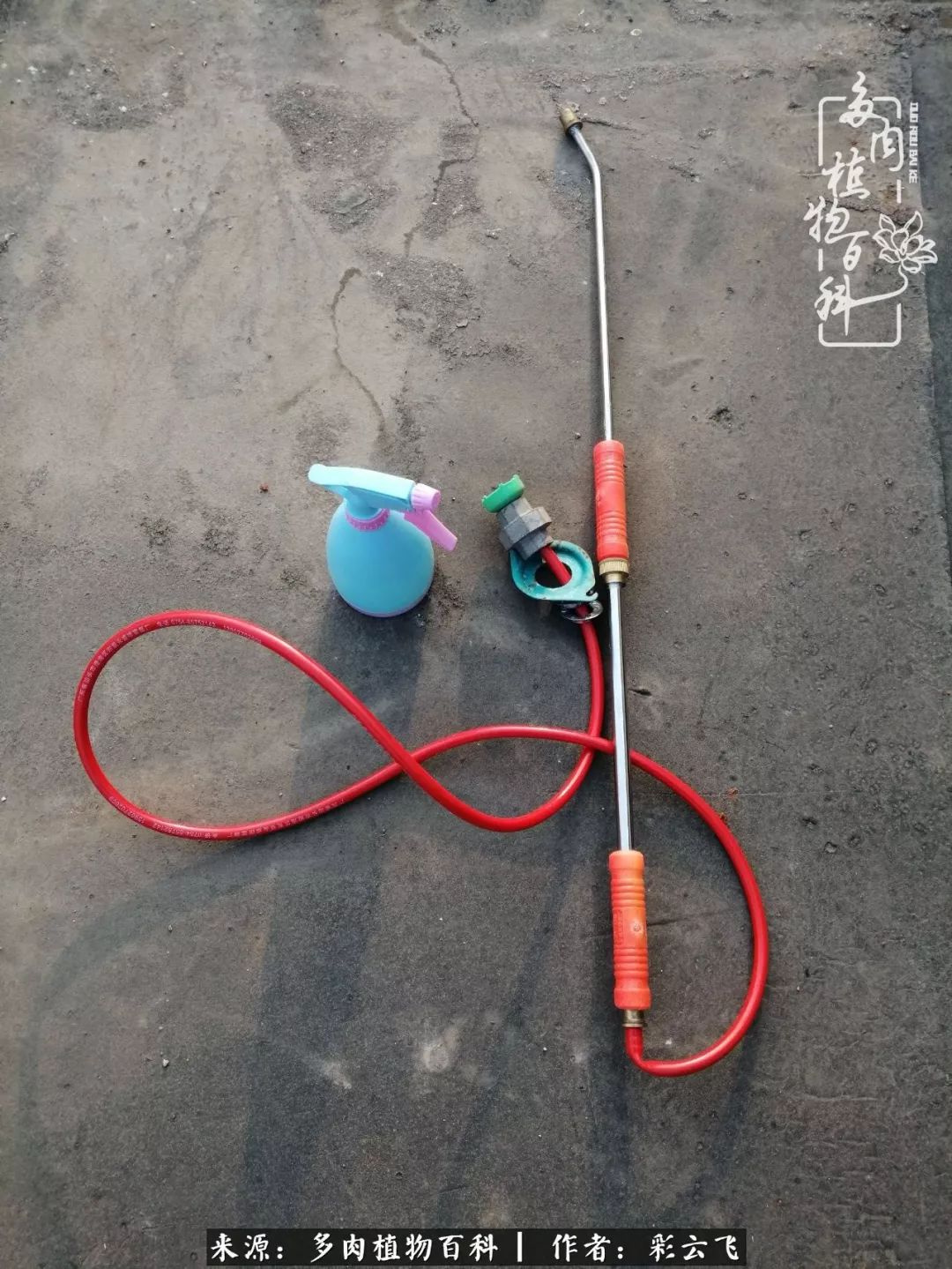 爱春天,爱阳光,爱法师!让我们一起跳法师坑吧!