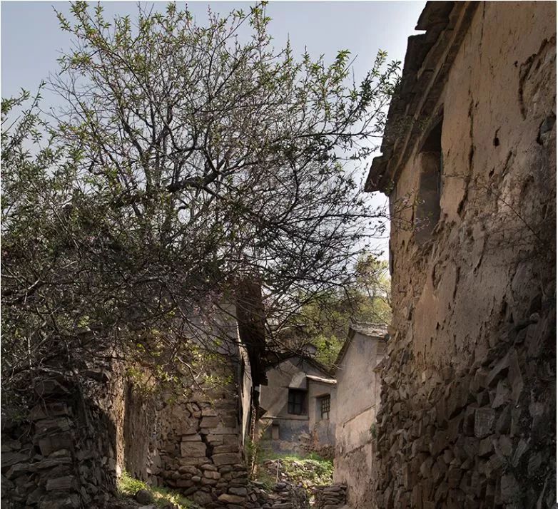 石家庄五一打卡景点推荐,石家庄周边必打卡旅游景点