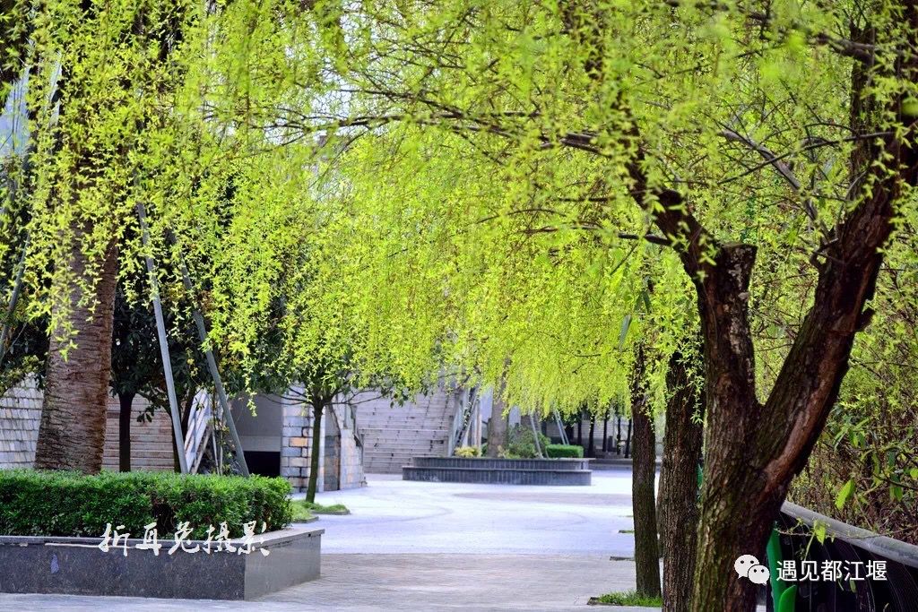 公园新玩法,公园项目的正确玩法