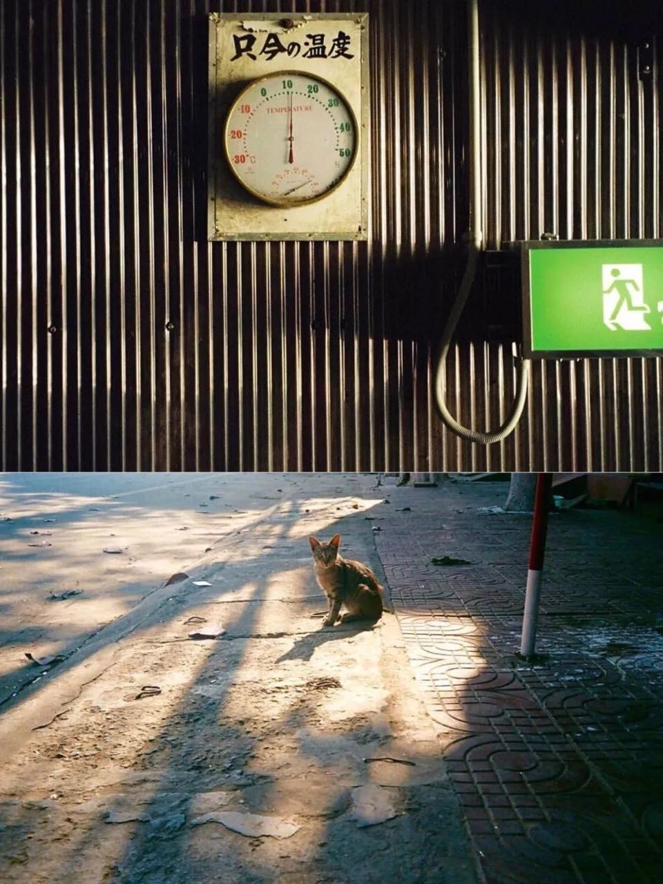 入坑手动胶片机的注意事项,比较好的胶片机推荐