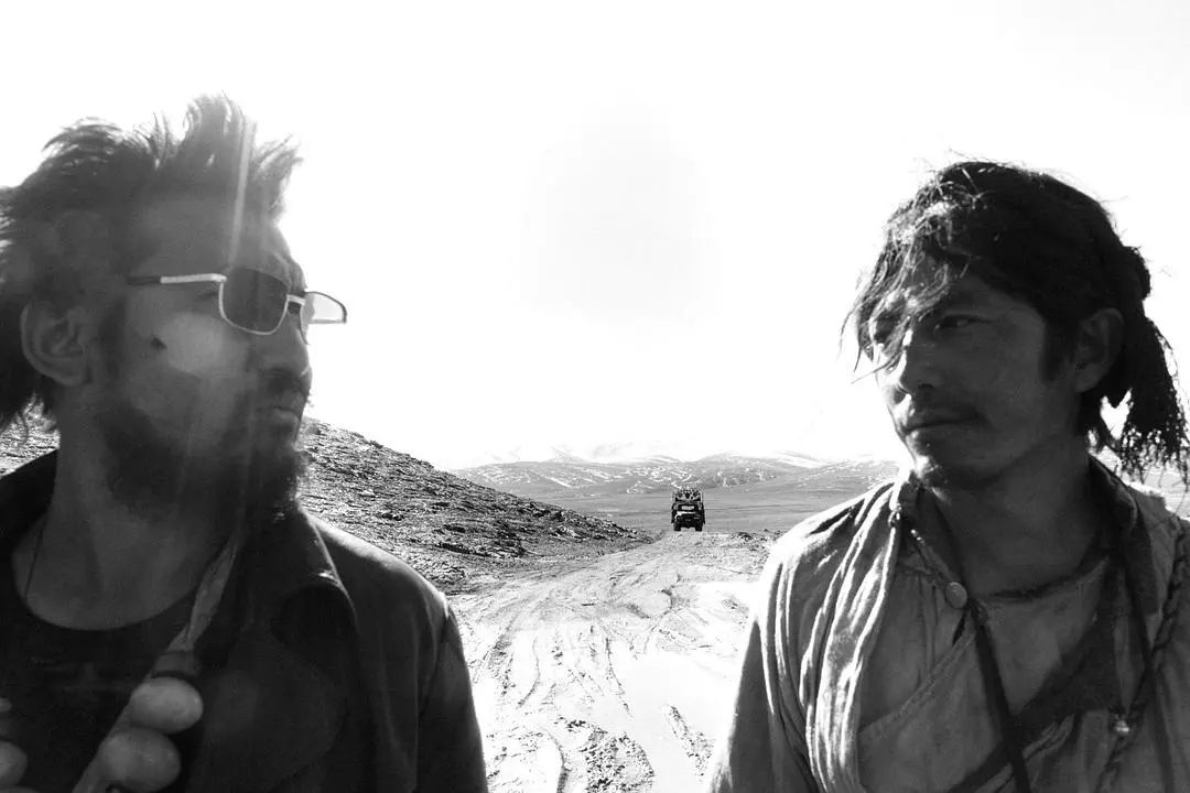 撞死一只羊救赎之旅,撞死一只羊现实与梦幻的隐喻