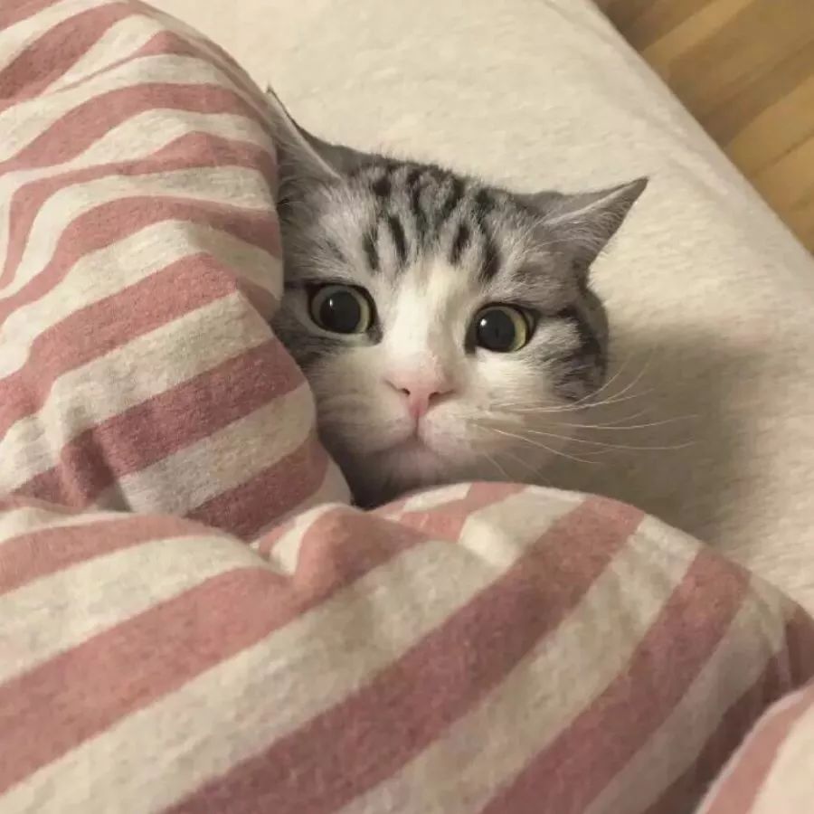 在警察学院的一天,在看守所体验一天生活