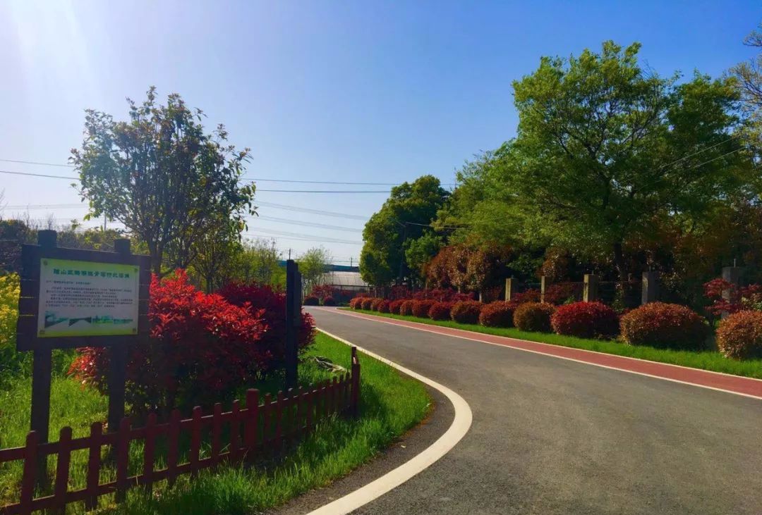 无锡最值得打卡的网红街,无锡梁溪区网红免费打卡地