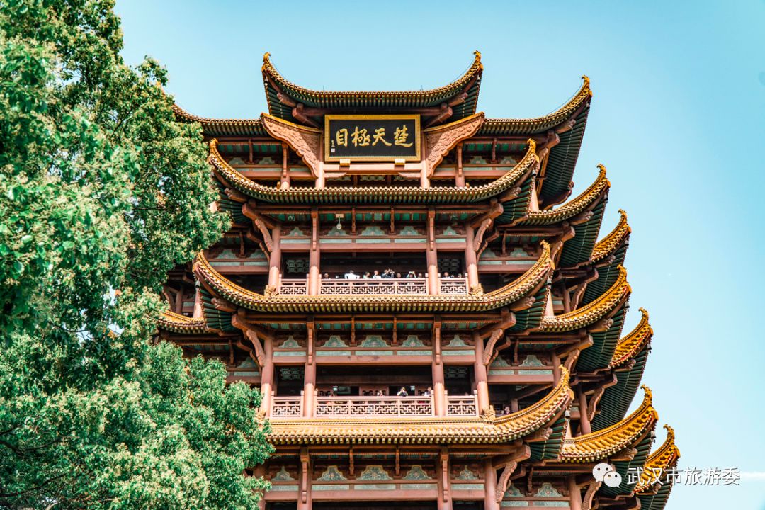 来武汉读书第一年,来武汉上大学的理由