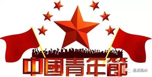 禹州十大杰出青年,禹州市优秀共青团员