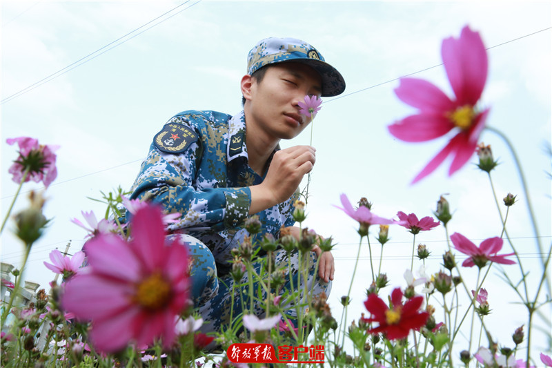 大山里的水兵完整视频,大山里的海军部队