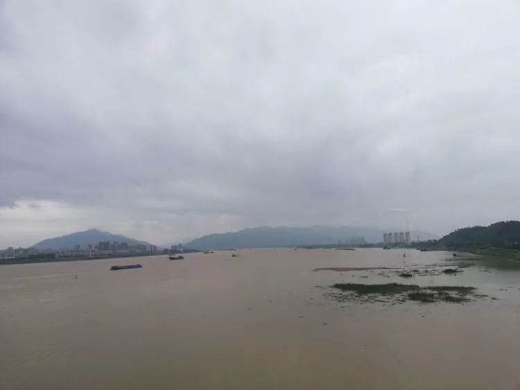 肇庆砚洲岛游记,肇庆自驾一日游砚洲岛