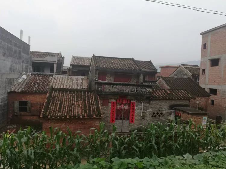 肇庆砚洲岛游记,肇庆自驾一日游砚洲岛