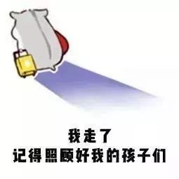 苍蝇落在食物上会干什么,苍蝇落在食物上会做些什么