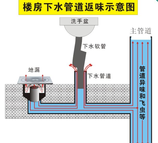 家里有小飞虫和蟑螂,家里装了纱窗还是有小蚊子能进来