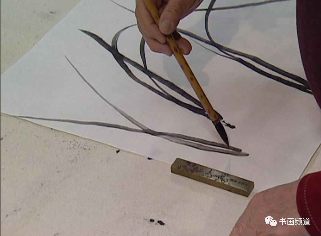 张立辰花鸟画教学系列视频,画家张立辰国画写意作品欣赏