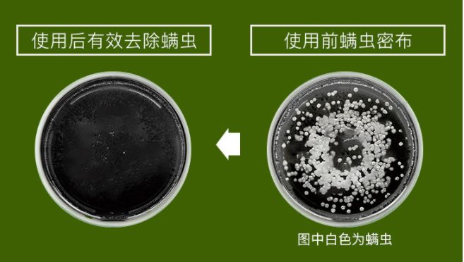 真正好用的洗发神器,一款超级好用的洗头神器