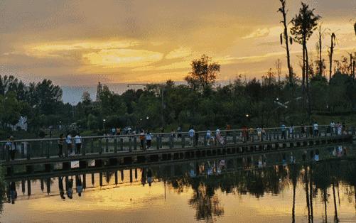 双流红枫海在哪,红枫湖风景区开放时间最新消息