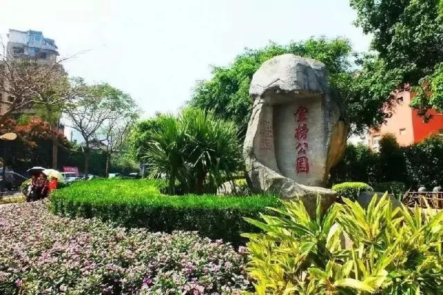 厦门夜景最美公园排名前十的地方,厦门公园美景视频