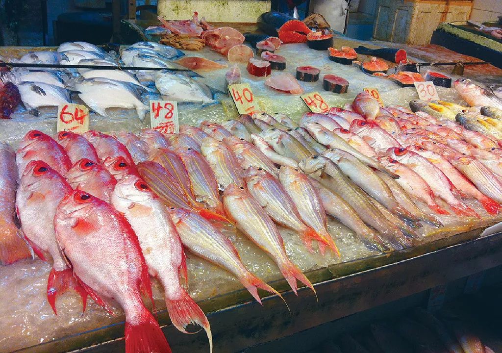 香港人以后杀鱼都要“安乐死”了？否则犯法！？