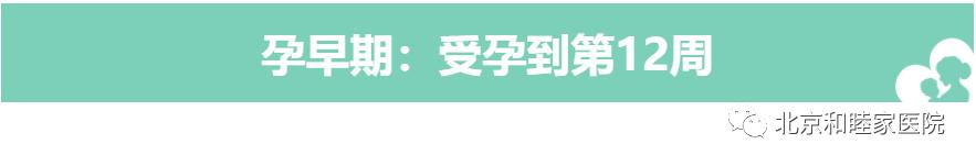 孕期营养素补充指南 (孕期要如何补充营养素呢)