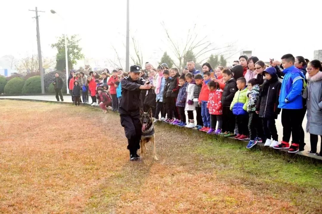 南京儿童奔跑吧夏令营,奔跑吧少年夏令营报名南京