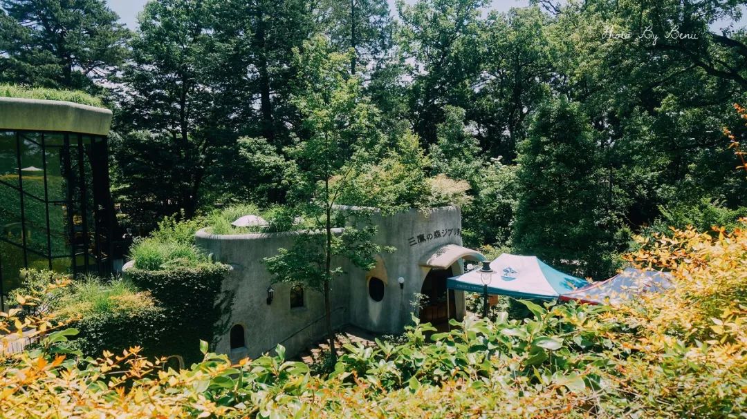 日本新时代什么时候开始,日本现代新时代