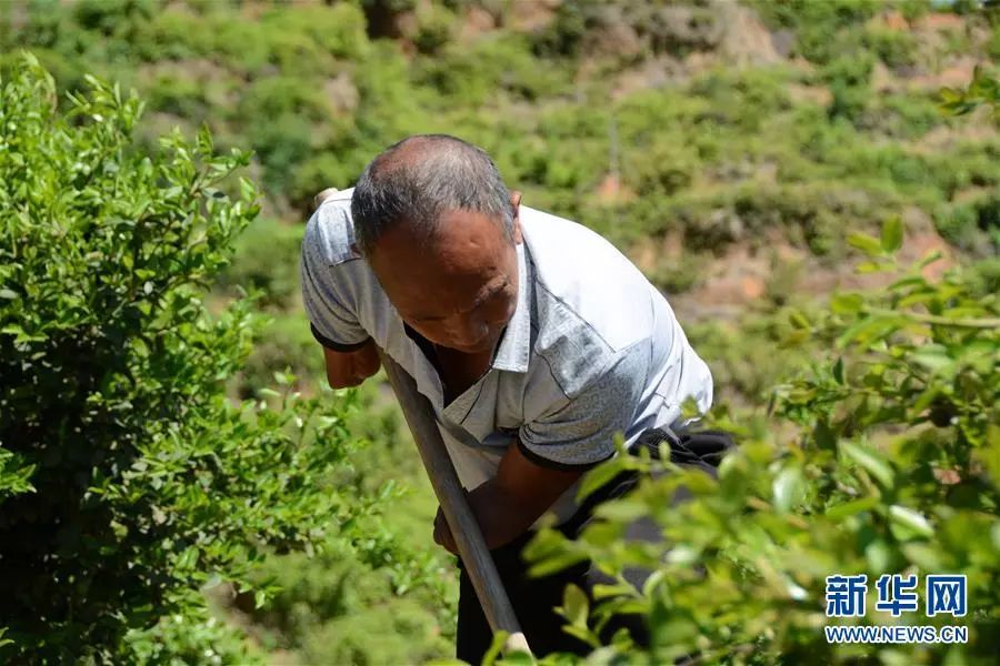 福建长汀绿水青山,长汀老区绿水青山