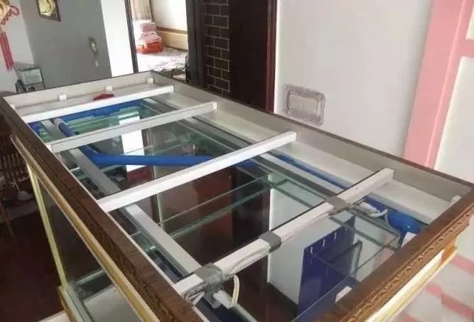 1.5米生态缸的用料及造景,1.2米的缸适合做什么缸