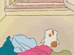 一条紧身裤引发的惨案电视剧,一条紧身裤引发的惨案什么剧